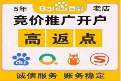 解析SEM推广代运营公司的成功案例及效果